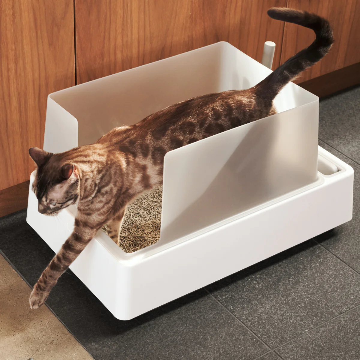 Cove Litter Box - Image 6