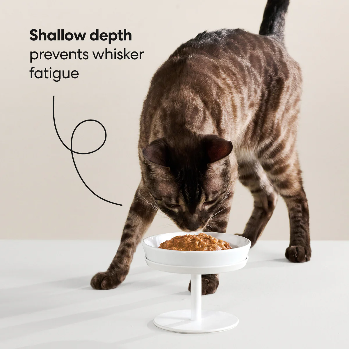 Dock Bowl and Stand - Image 4