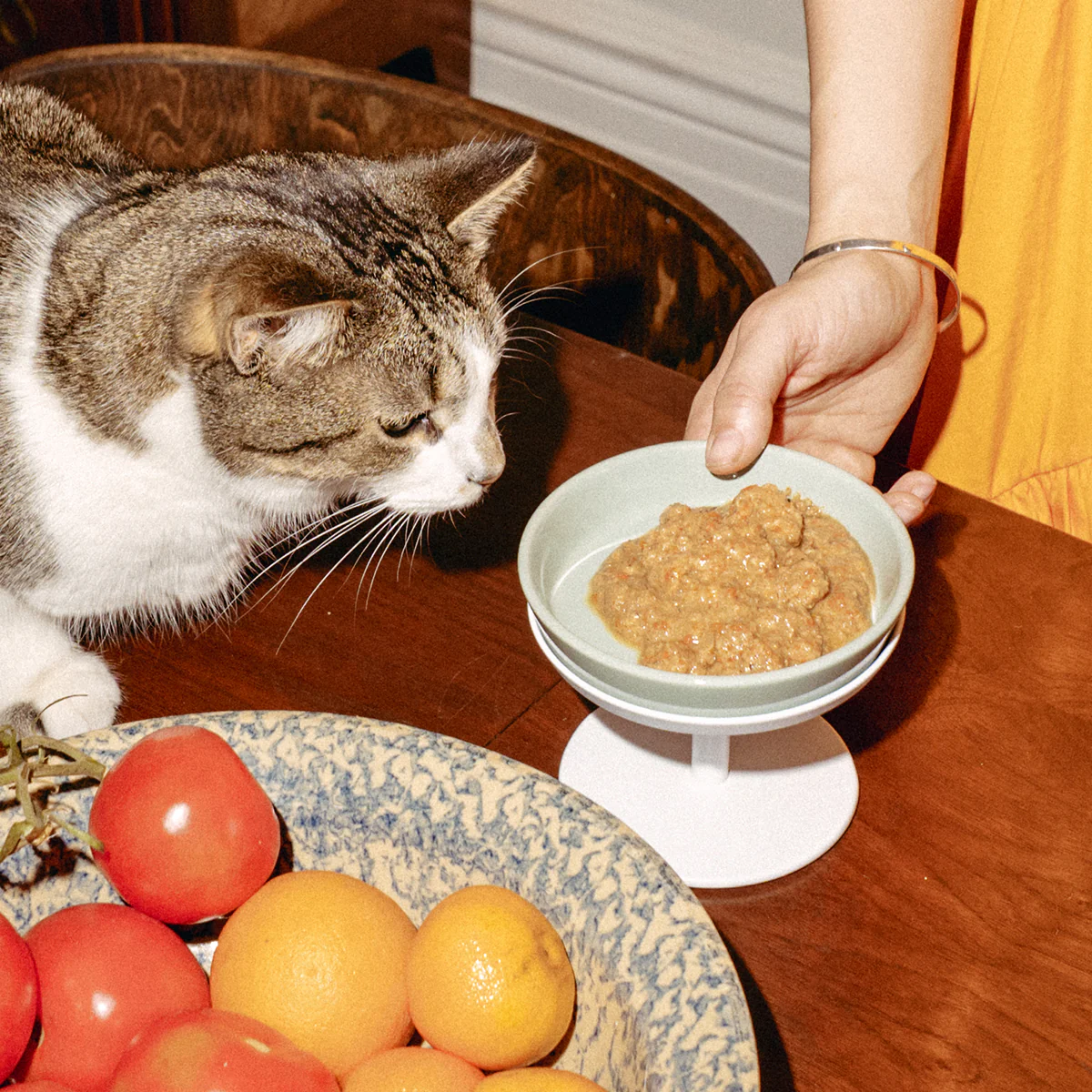 Dock Bowl and Stand - Image 6