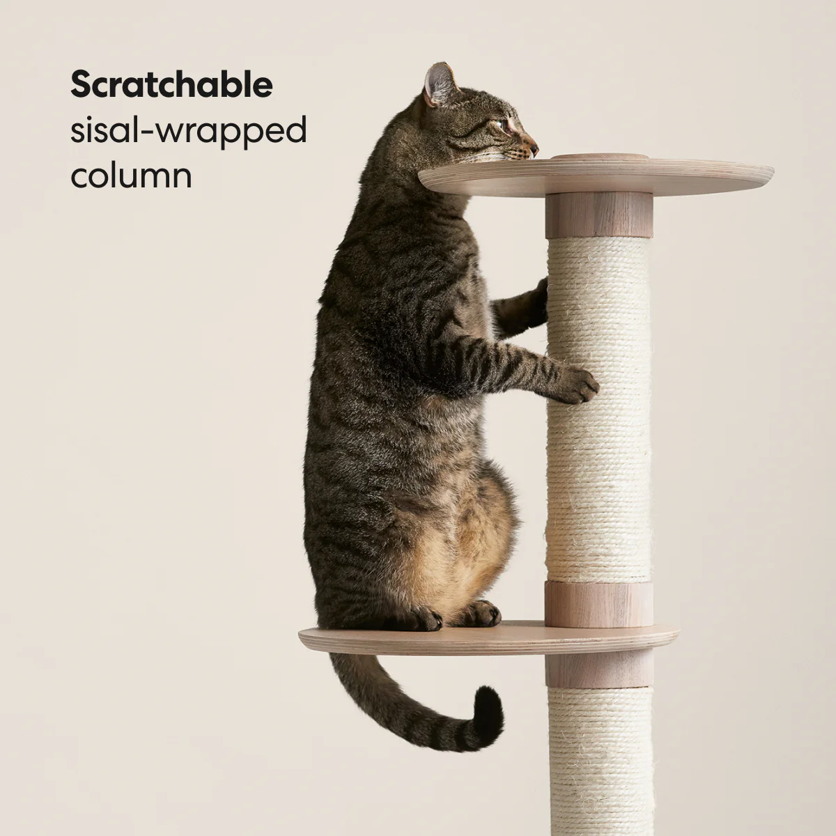 Frond Cat Tree - Image 3