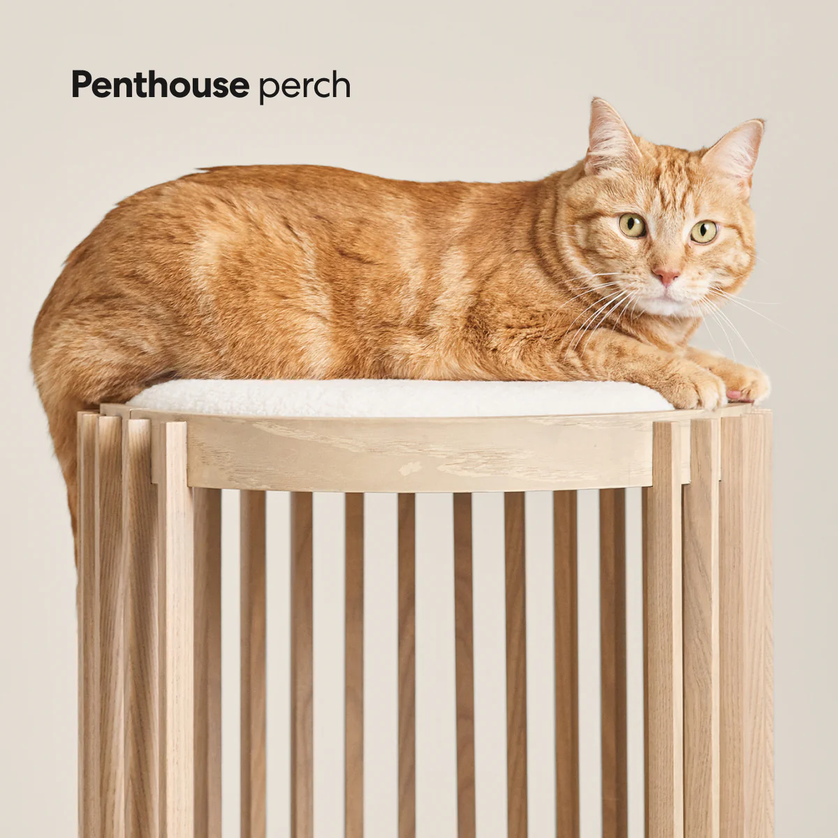 Grove Cat Tower - Image 5