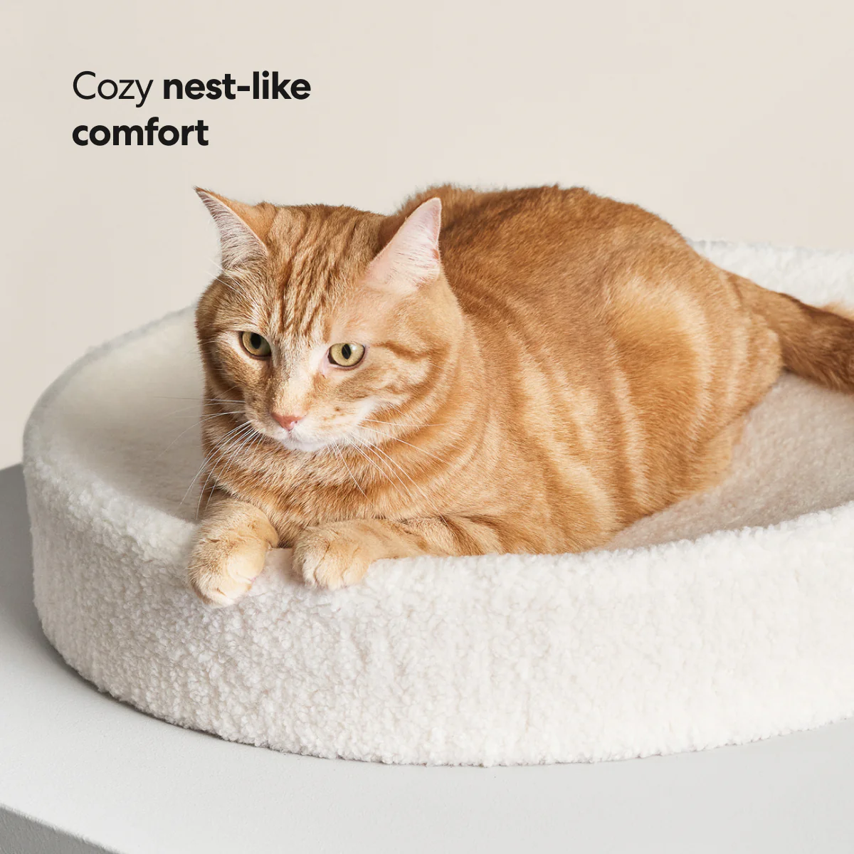 Kip Cat Bed - Image 6