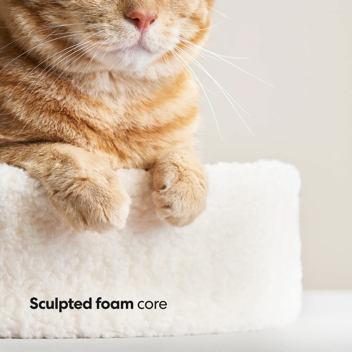 Kip Cat Bed - Image 8