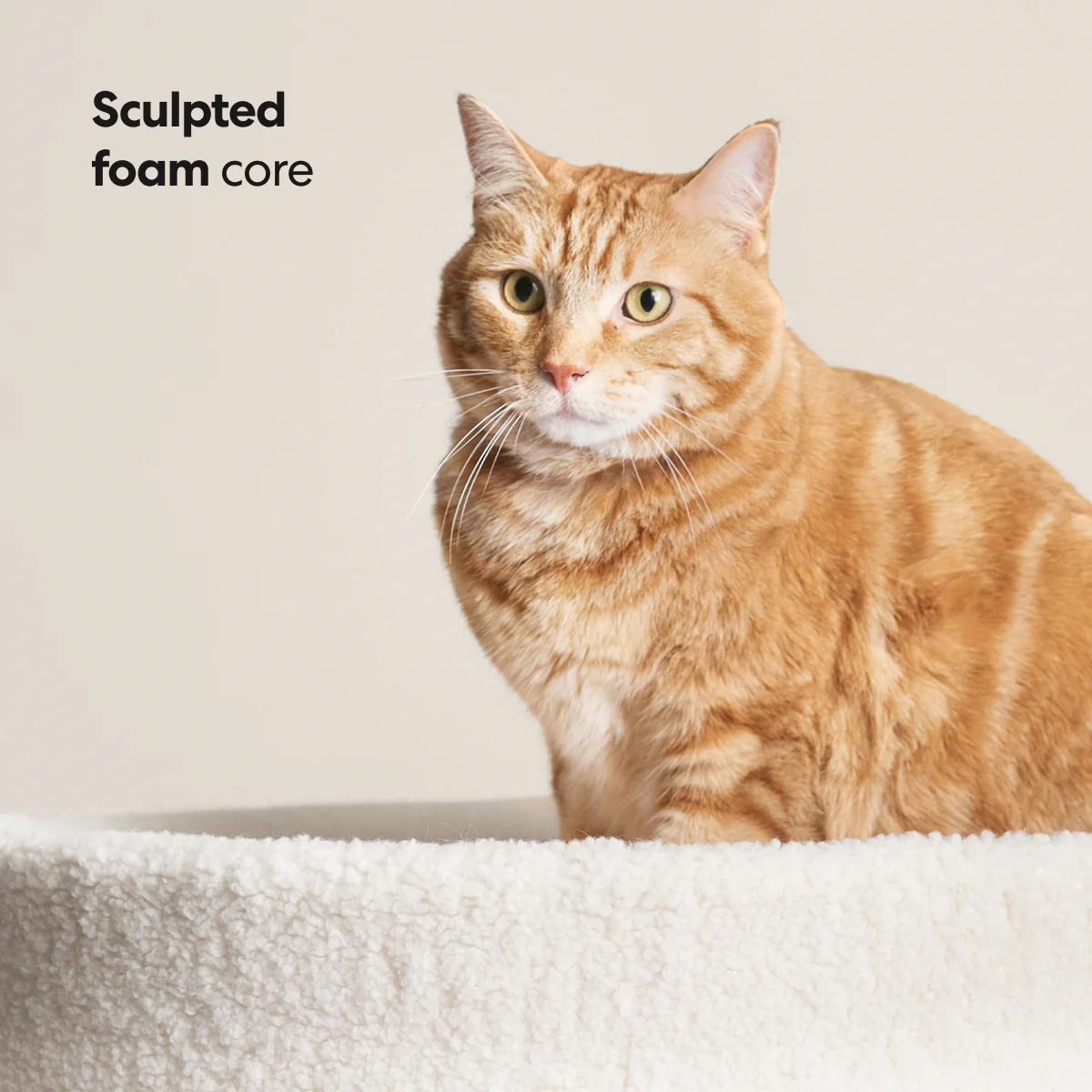 Kip Cat Bed - Image 9