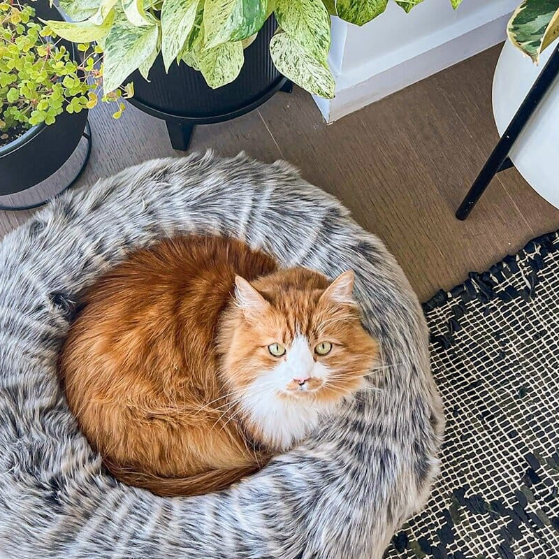 Nuzzle Cat Bed - Image 5