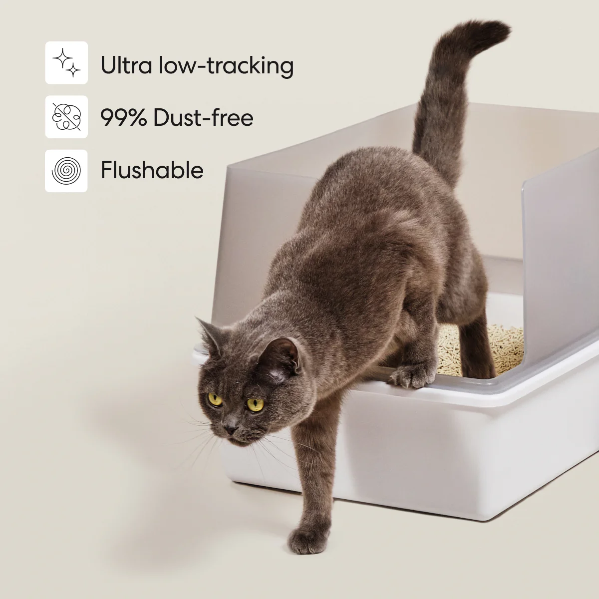 Really Great Cat Litter - Image 14