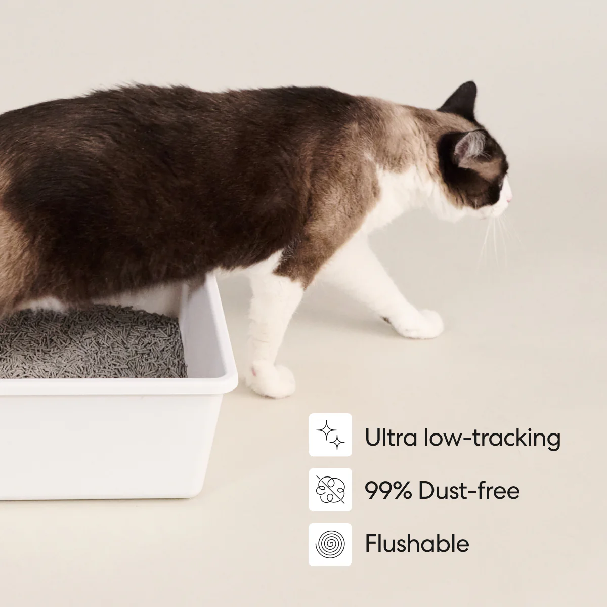 Really Great Cat Litter - Image 6