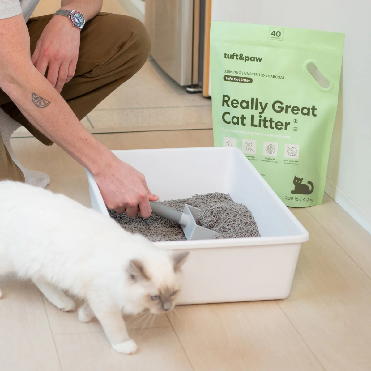 Really Great Cat Litter - Image 8