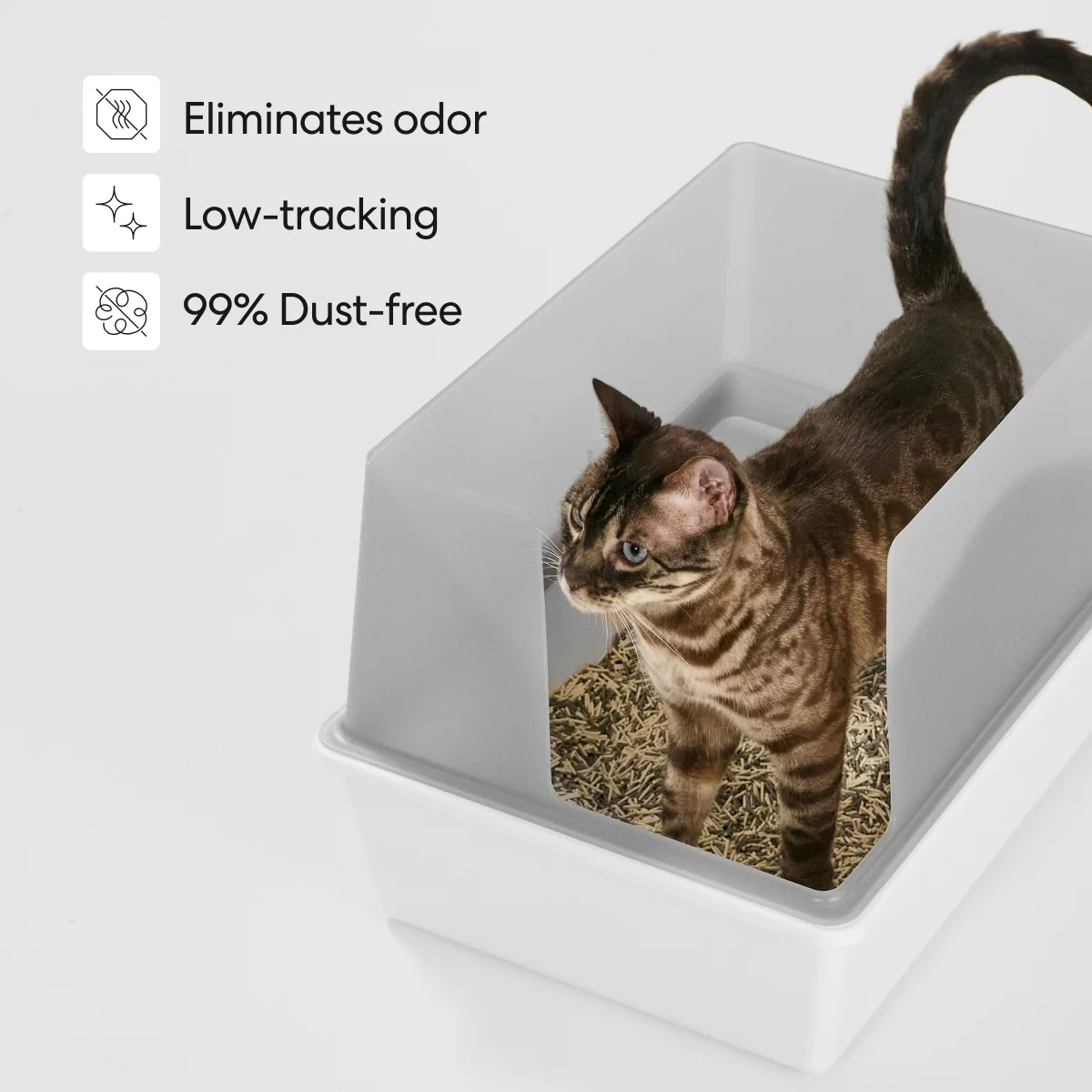 Really Great Cat Litter - OdorStop - Image 6