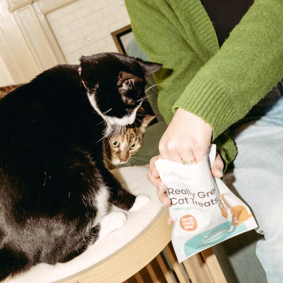 Really Great Cat Treats - Image 6