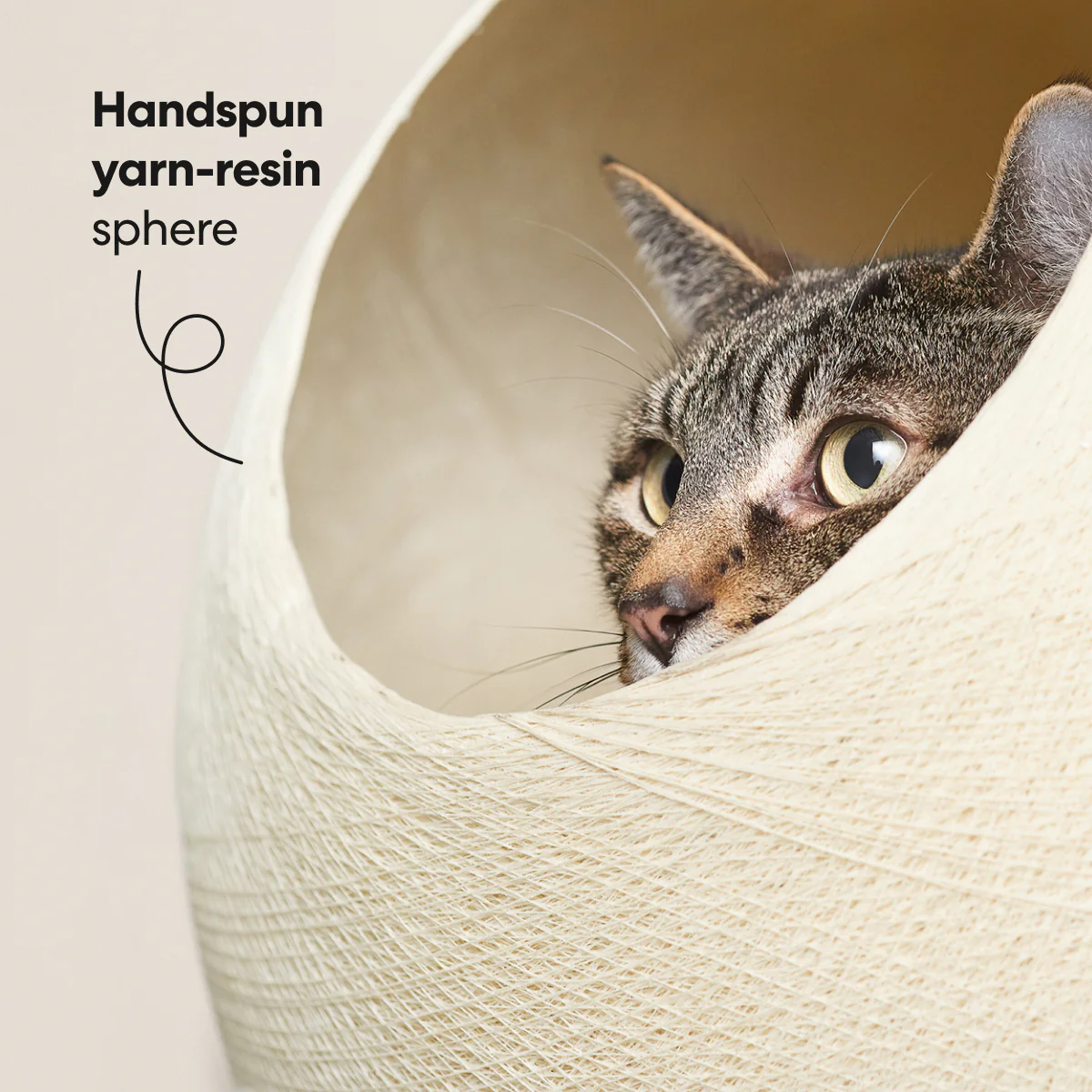 Stellar Cat Bed - Image 3