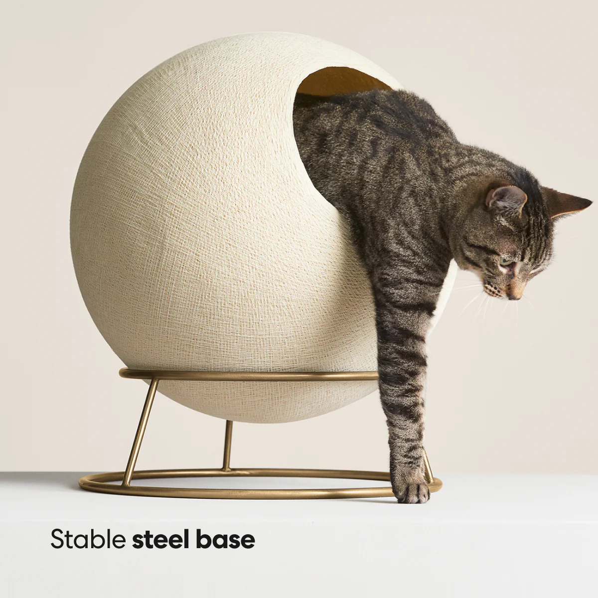 Stellar Cat Bed - Image 5
