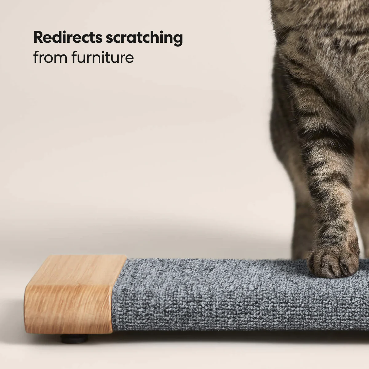 Tab Scratching Board - Image 5