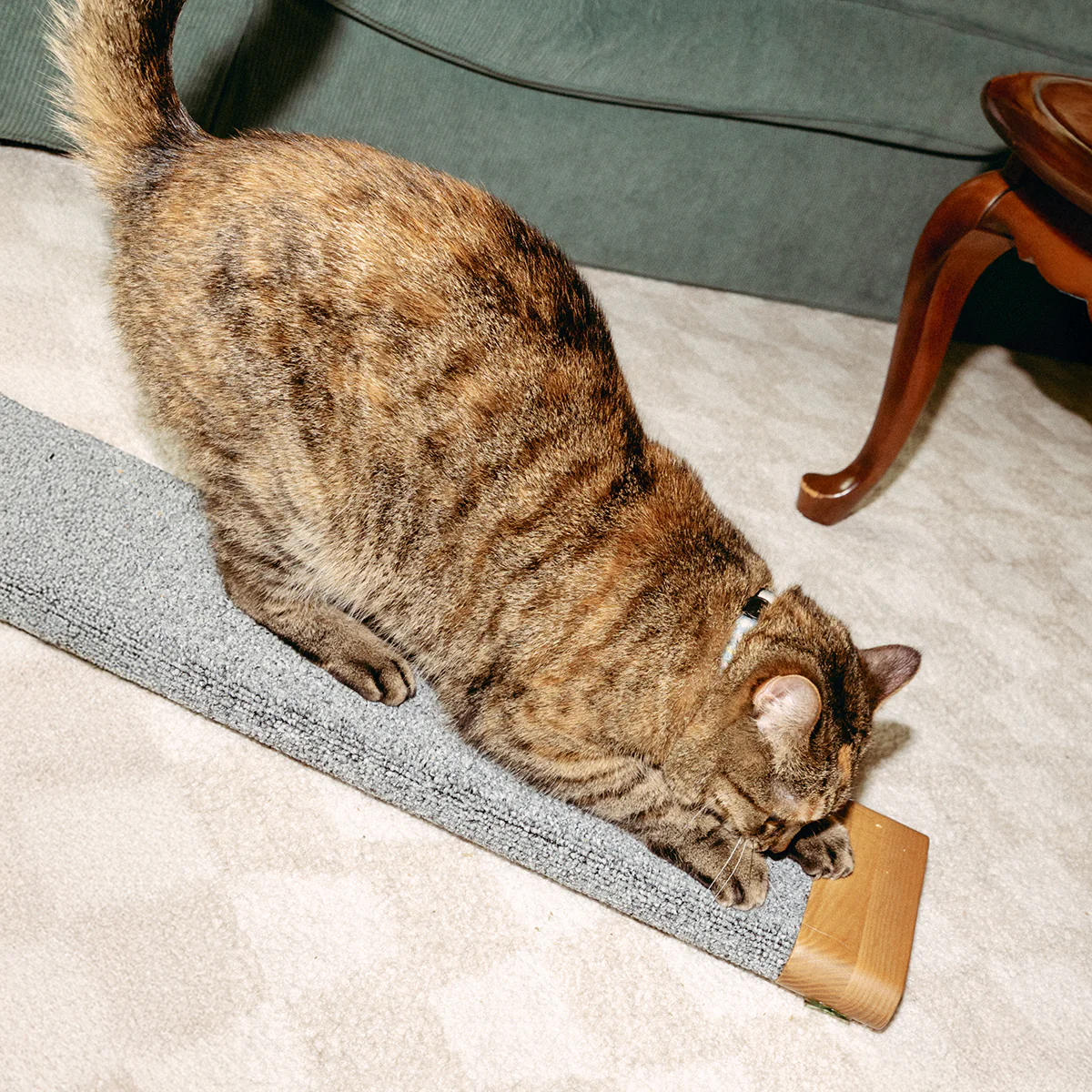 Tab Scratching Board - Image 6