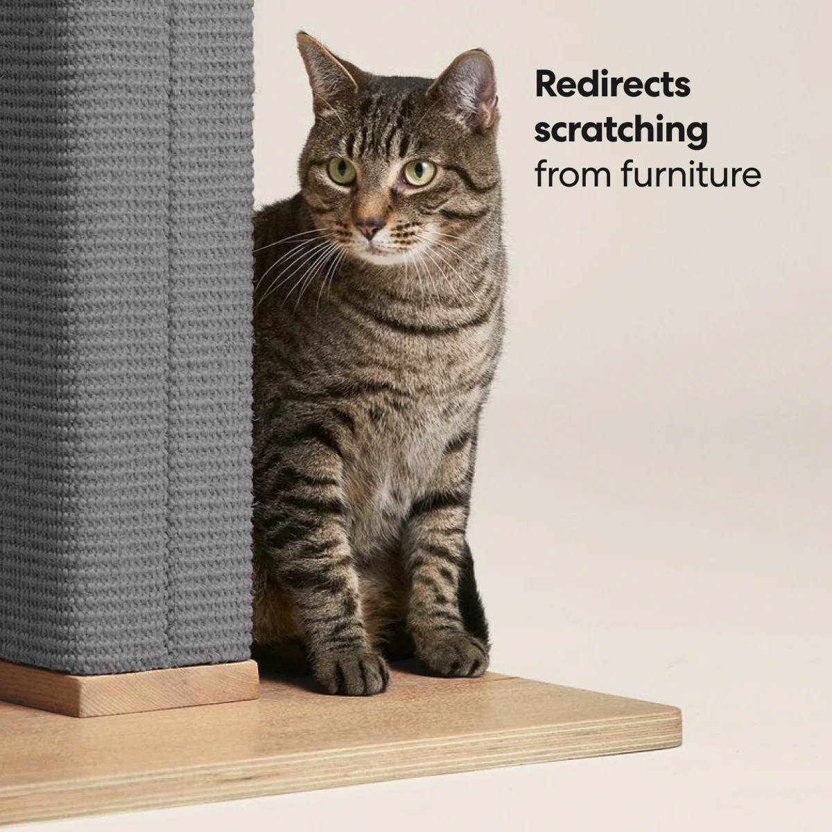 Zip Scratching Post - Image 5